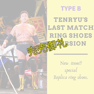 画像3: 【初商品化】天龍源一郎レプリカリングシューズ≪タイプB≫ (3)