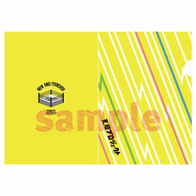 画像4: 天龍プロジェクト特製クリアファイルセット＜3種＞ (4)