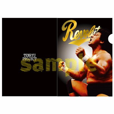 画像2: 天龍プロジェクト特製クリアファイルセット＜3種＞ (2)