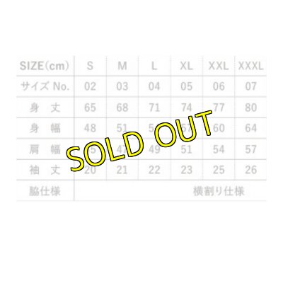 画像5: CATCH US IF YOU CAN ドライメッシュＴシャツ (5)