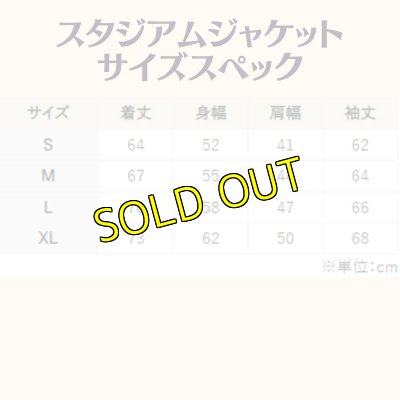 画像4: 『Revolution×RENAISSANCE』 スタジアムジャケット【受注生産品】 (4)