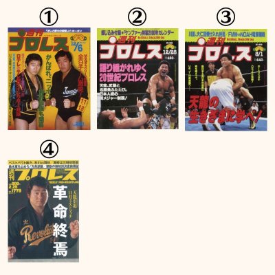 画像3: 天龍源一郎　キャンバスアート (3)