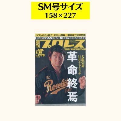 画像4: 天龍源一郎　キャンバスアート (4)