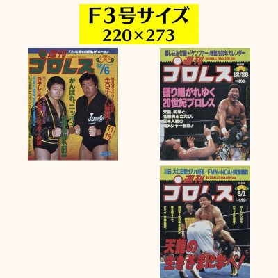 画像5: 天龍源一郎　キャンバスアート (5)