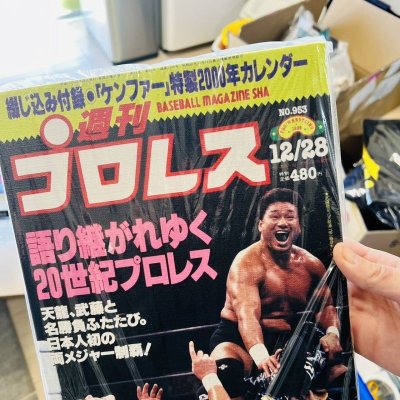 画像7: 天龍源一郎　キャンバスアート (7)