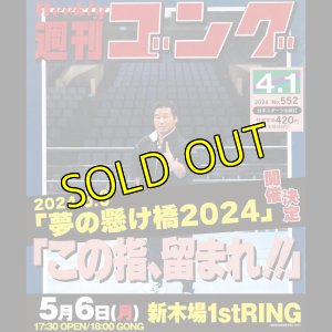 画像1: 2024.5.6 天龍プロジェクトpresents　『夢の懸け橋2024』 (1)