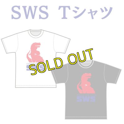 画像1: ＜NEW＞SWSロゴTシャツ (1)