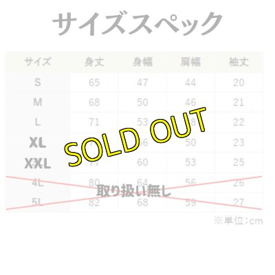 画像5: 【受注生産品】※選べるカラー※　Revolutionロゴ ドライTシャツ (5)