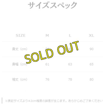 画像2: Revolutionロゴ マットナイロンコート (2)