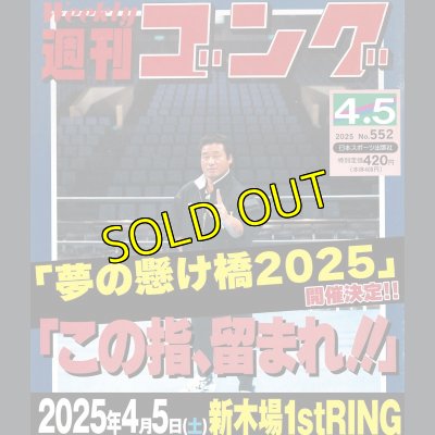 画像1: 2025.4.5 天龍プロジェクトpresents　『夢の懸け橋2025』 (1)