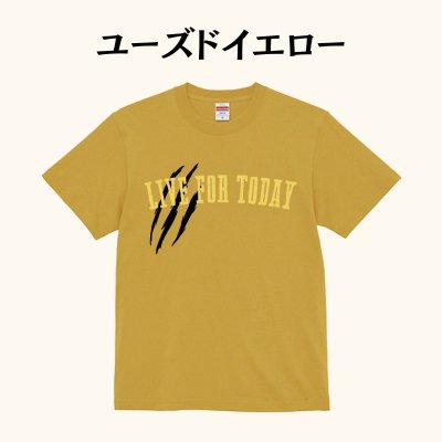 画像4: 《特典付き》『LIVE FOR TODAY』 シリーズTシャツ  (4)