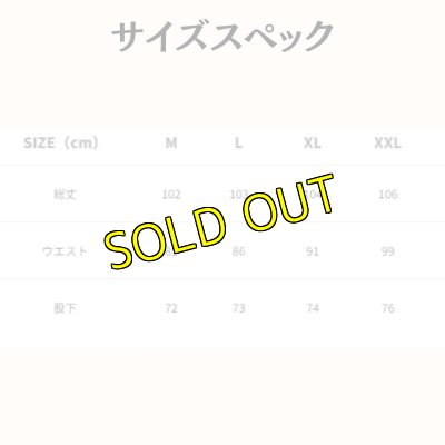 画像4: Revolutionガーメントダイライトフリーススウェットパンツ (4)