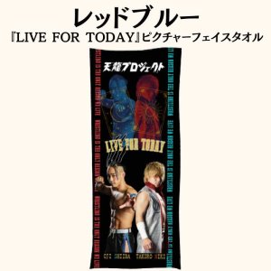 画像1: レッドブルー〈椎葉おうじ × 仁木琢郎〉『LIVE FOR TODAY』ピクチャーフェイスタオル (1)