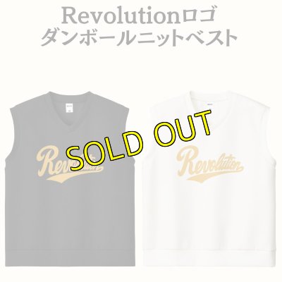 画像1: Revolutionロゴ　ダンボールニットベスト (1)