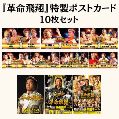 画像1: 『革命飛翔』特製ポストカードセット (1)