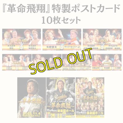 画像1: 『革命飛翔』特製ポストカードセット (1)