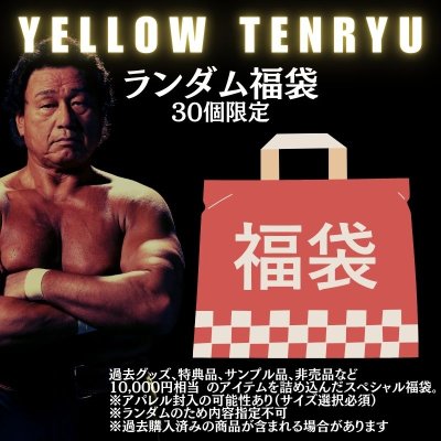 画像1: 【数量限定】YELLOW TENRYU 2025 ランダム福袋 (1)