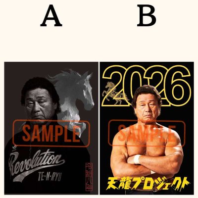 画像2: 天龍源一郎 直筆サイン入りポートレート 2026 (2)