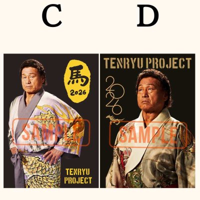 画像4: 【限定20】天龍プロジェクト 2026 スターターセット (4)