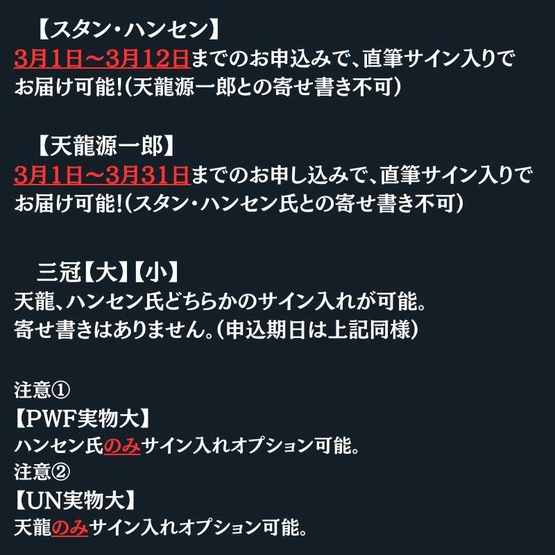 武尊 ３階級制覇 パネル 直筆サイン 2025年最新】武尊サインの人気アイテム - メルカリ